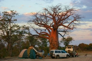 Camping in Botswana