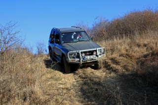 IMG_2061_edited.JPG