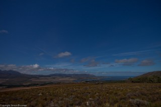 IMG_5277.jpg