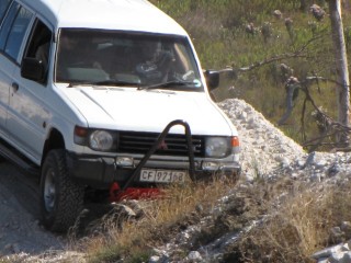 Bok (Small).JPG