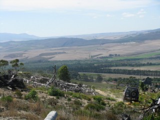 SmallIMG_6711.jpg