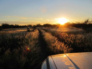 driving into the sunrise
