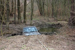 IMG_2328_edited.JPG