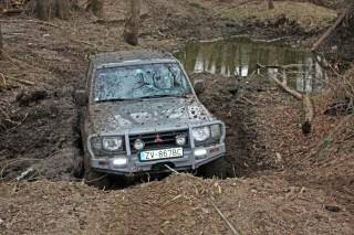 IMG_2329_edited.JPG