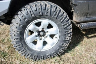 IMG_2345_edited.JPG