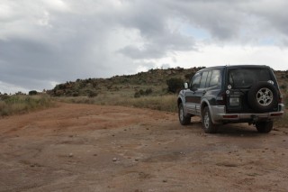 _MG_3779.JPG