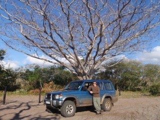 Tembe Elephant Reserve