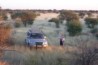 2003
