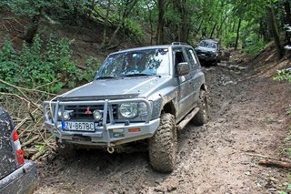 IMG_2973_edited.JPG