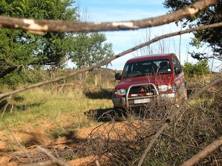 IMG_0014.JPG