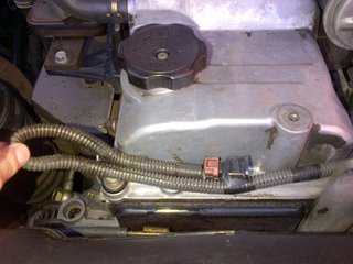 IMG-20120823-00093.jpg