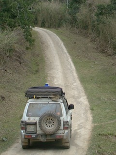 Into the forrest we go