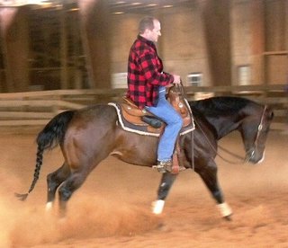 Riding a Reining horse in the states