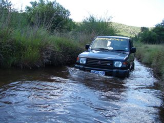 My swb taking a swim