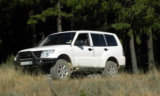 HOgsback Forest