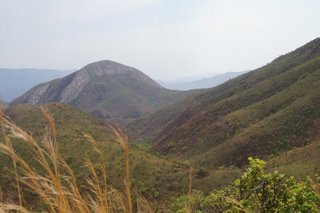 DSC00015.jpg