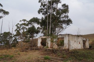 DSC00091.jpg