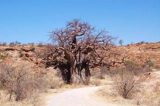 Mapungubwe Road.JPG