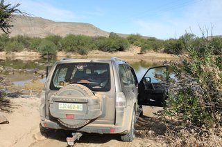 IMG_1310.jpg