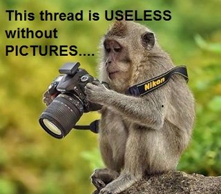 useless.jpg
