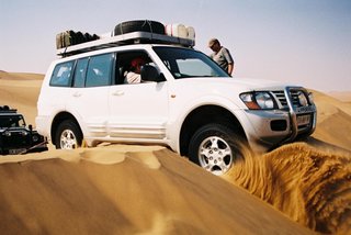 Landi pulling me off a dune.