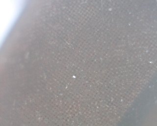 Filter under microscope 200x