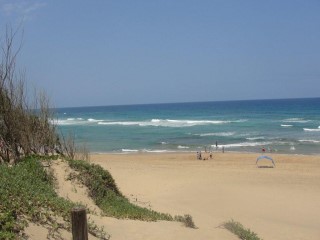 DSC00715.jpg
