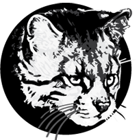 main_logo_Pajero.png