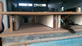 IMAG0444.jpg